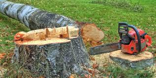 Best Lot and Land Clearing  in Browntown, PA