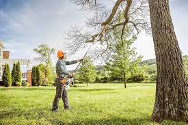  Browntown, PA Tree Care Pros